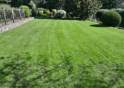 Lawn Care Galway